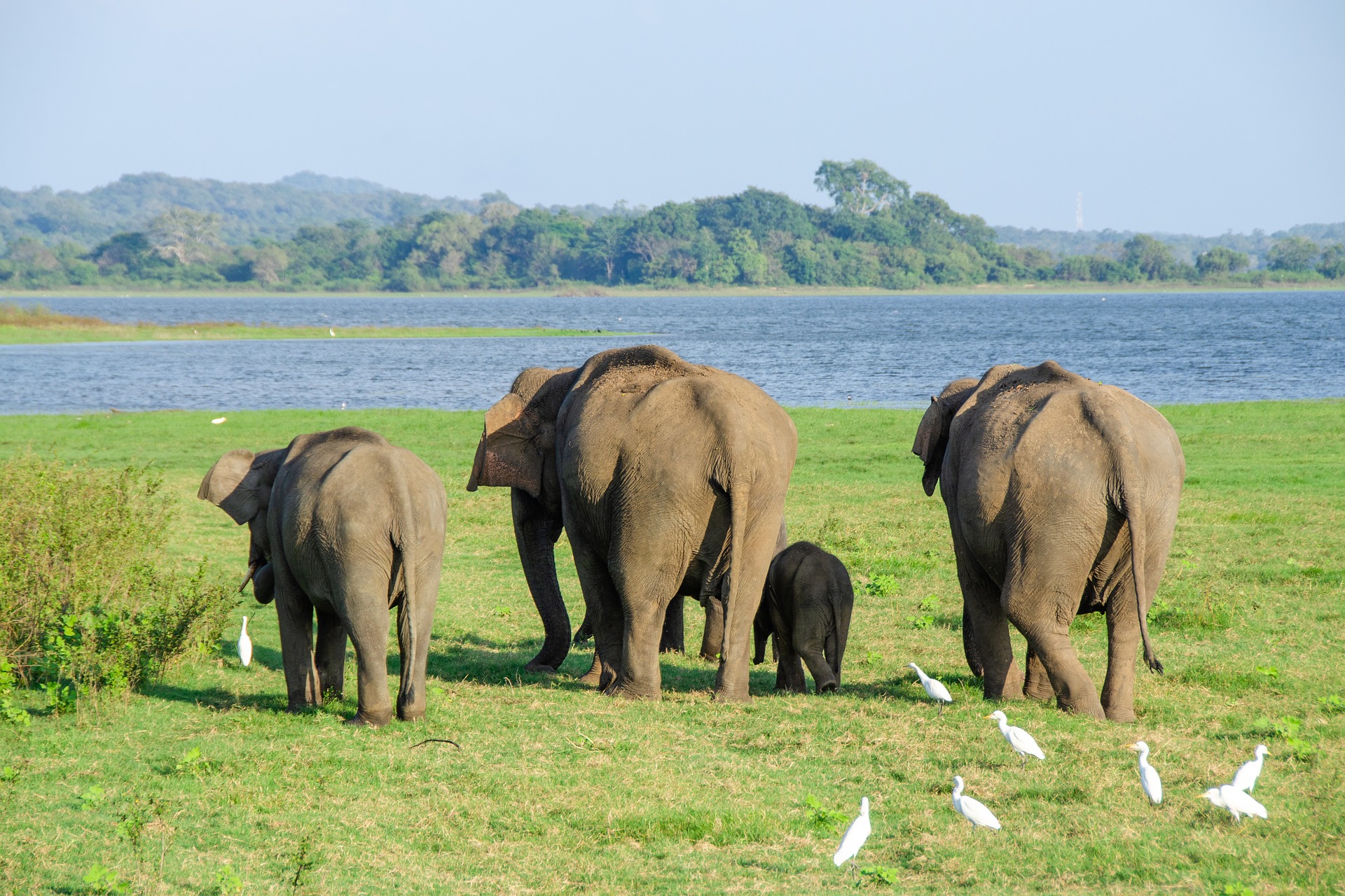 Sri Lanka_4